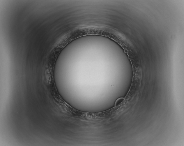 X0000114240774200910161632