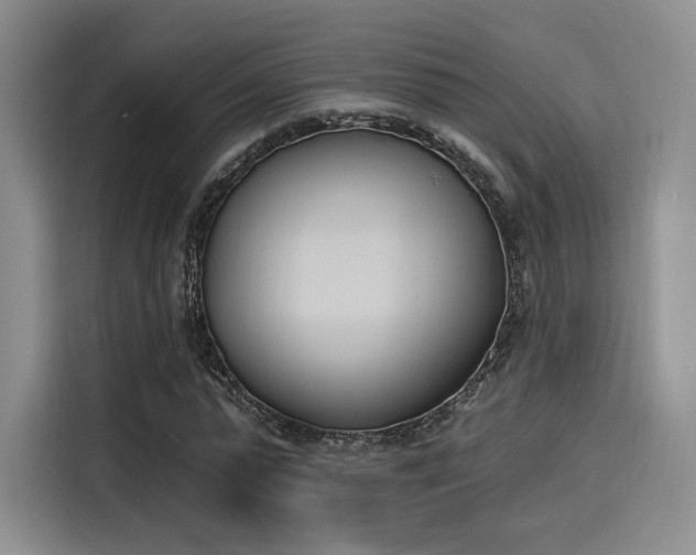 X0000114240775200910161632