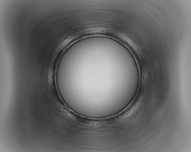 X0000114240778200910161632
