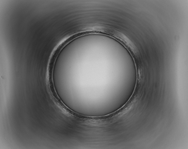X0000114240780200910161632