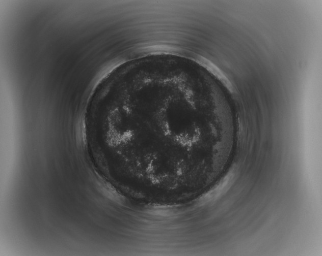 X0000114240782200910161632