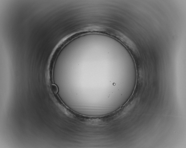 X0000114240784200910161632