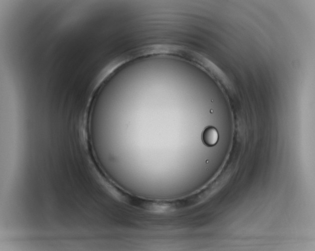 X0000114240794200910161632
