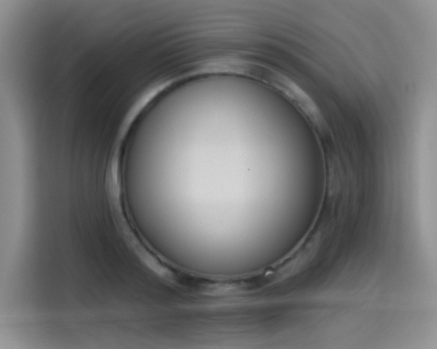 X0000114240796200910161632
