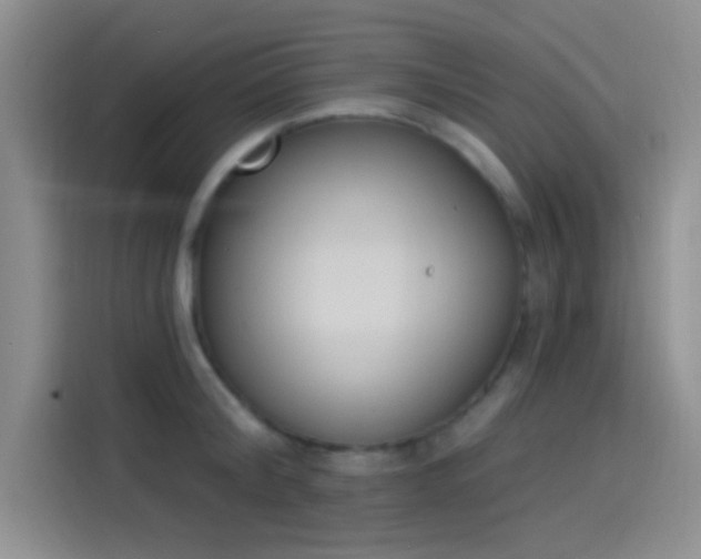 X0000114240804200910161632