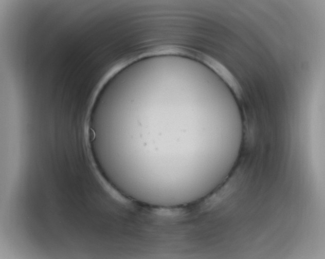 X0000114240805200910161632