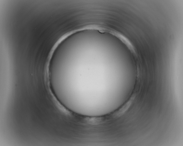 X0000114240808200910161632