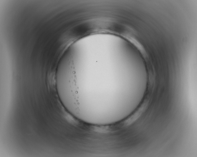 X0000114240809200910161632