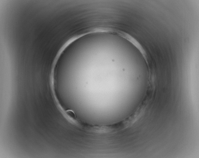 X0000114240811200910161632