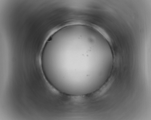 X0000114240813200910161632