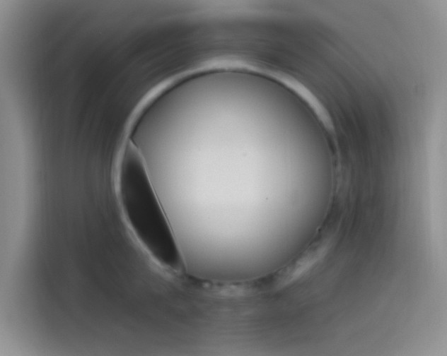 X0000114240815200910161632