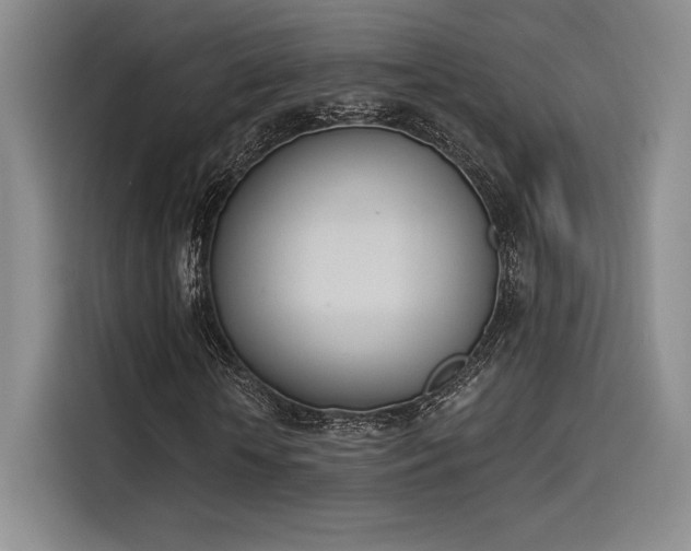 X0000114240818200910161631