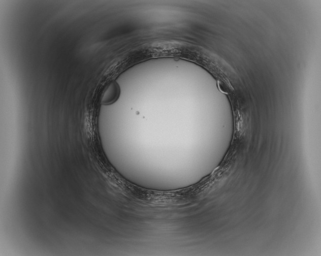 X0000114240819200910161631