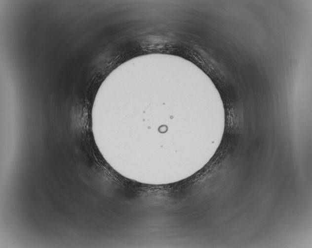 X0000114240820200910161631
