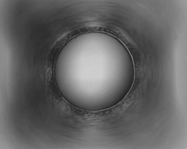 X0000114240821200910161631