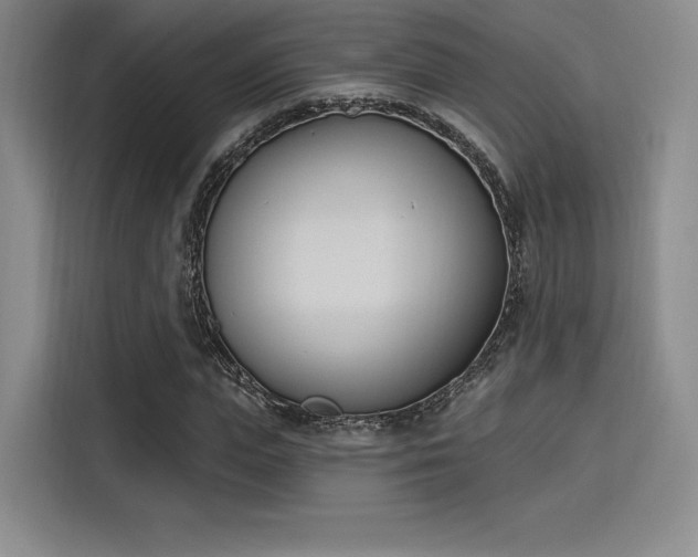 X0000114240823200910161631