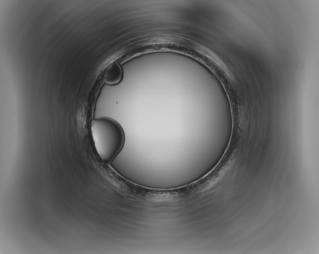 X0000114240826200910161631