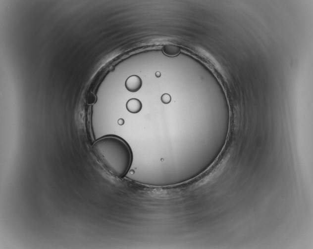 X0000114240827200910161631