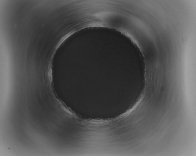 X0000114240829200910161631