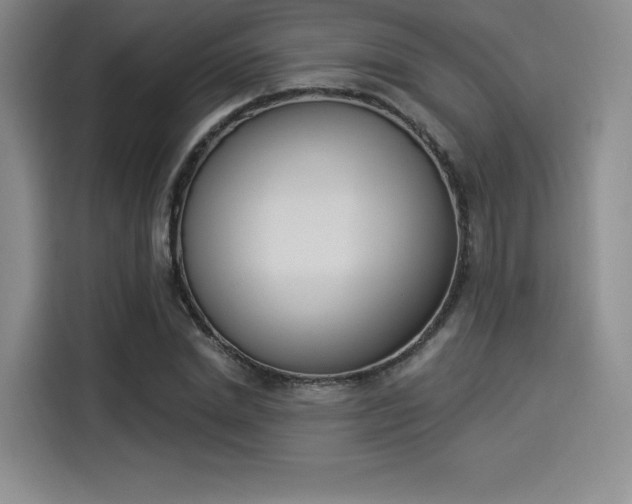 X0000114240830200910161631