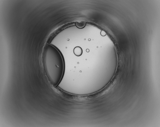 X0000114240831200910161631