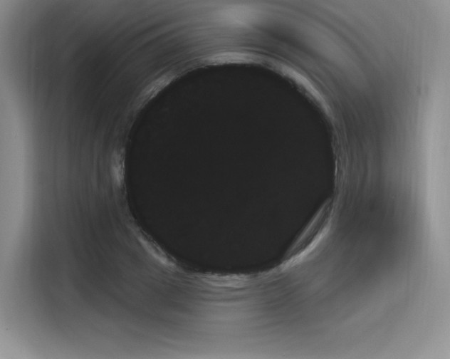 X0000114240833200910161631