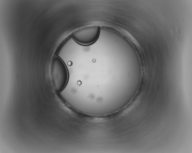 X0000114240839200910161632
