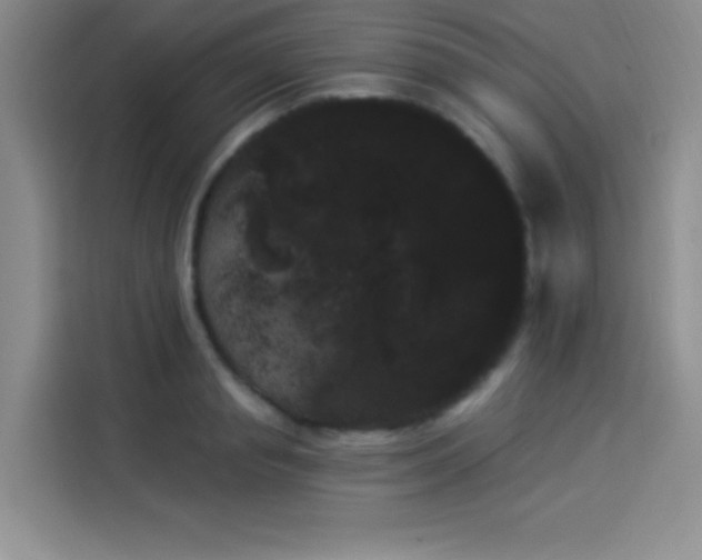 X0000114240845200910161632