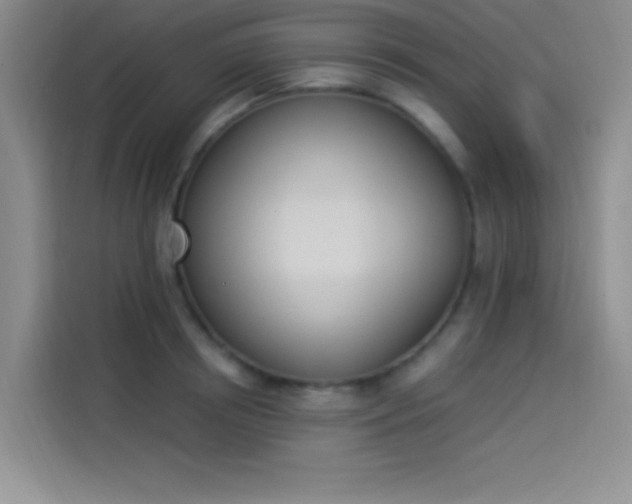 X0000114240850200910161632