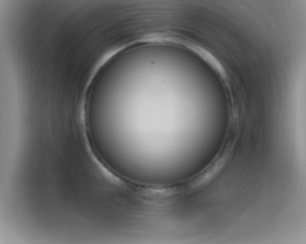 X0000114240855200910161632
