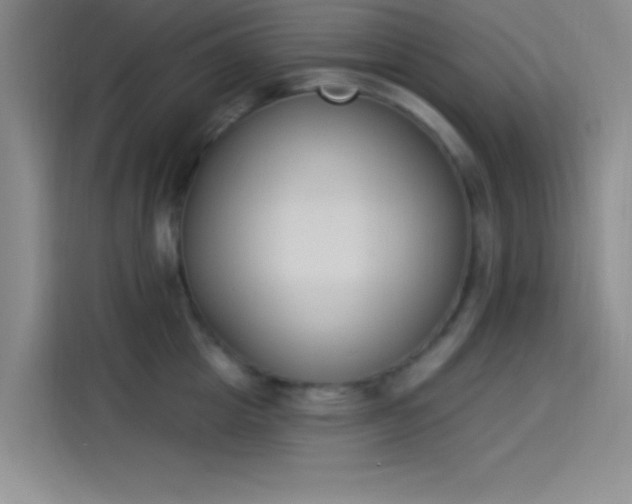 X0000114240857200910161632
