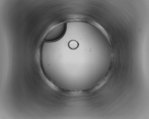 X0000114240859200910161632