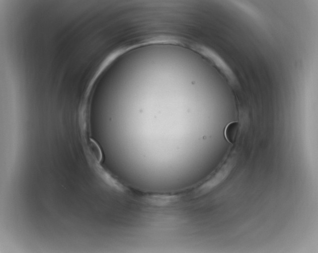 X0000114240860200910161632