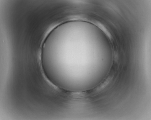 X0000114240863200910161632