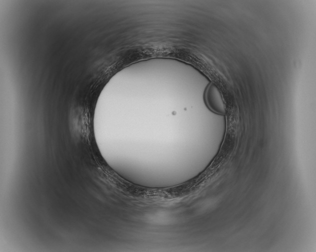 X0000114240866200910161631