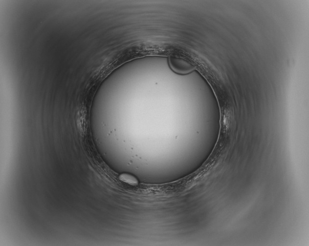 X0000114240867200910161631