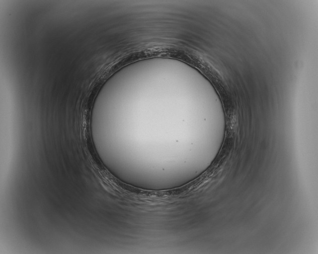 X0000114240868200910161631