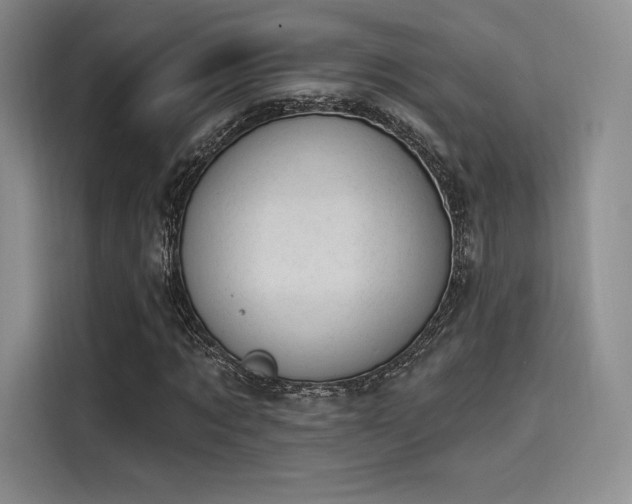 X0000114240869200910161631