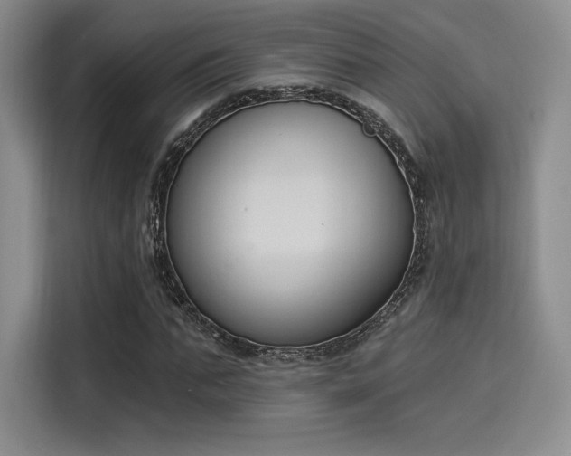 X0000114240871200910161631