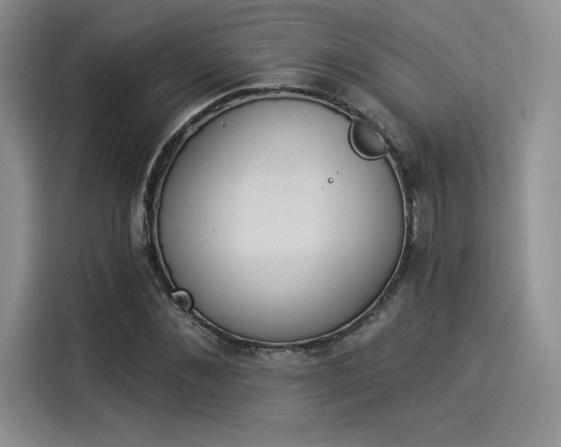 X0000114240876200910161631