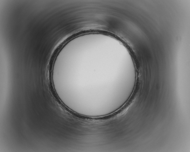 X0000114240877200910161631