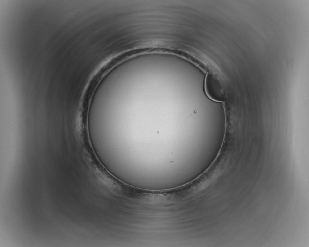 X0000114240880200910161631