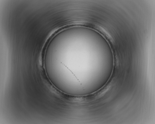 X0000114240883200910161631