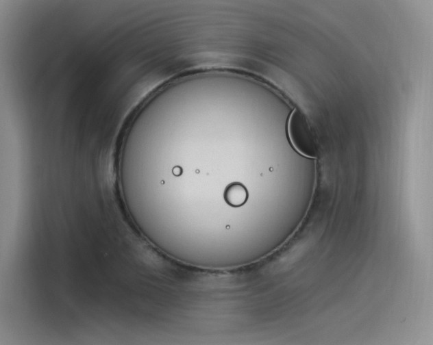 X0000114240885200910161631