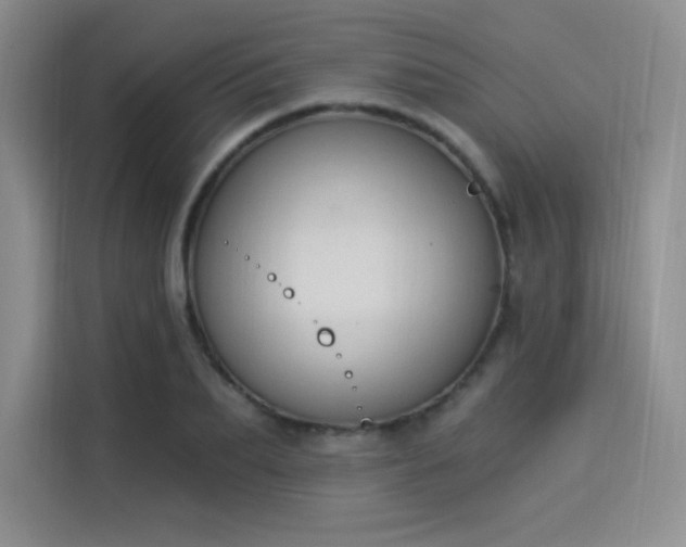 X0000114240887200910161631