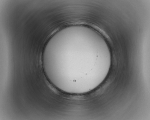 X0000114240889200910161631
