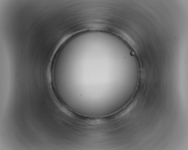 X0000114240891200910161631