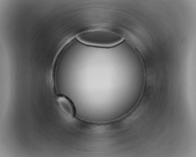 X0000114240892200910161631
