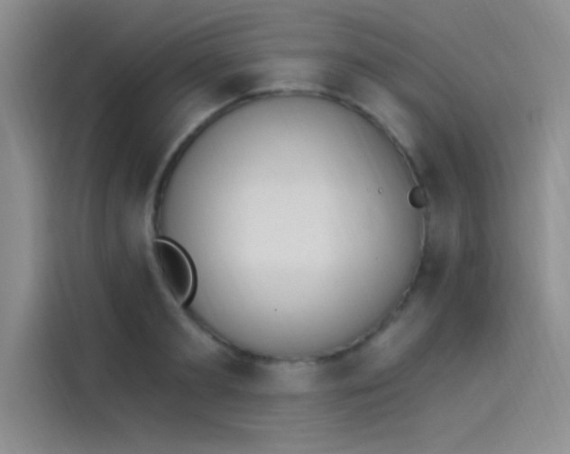 X0000114240893200910161631