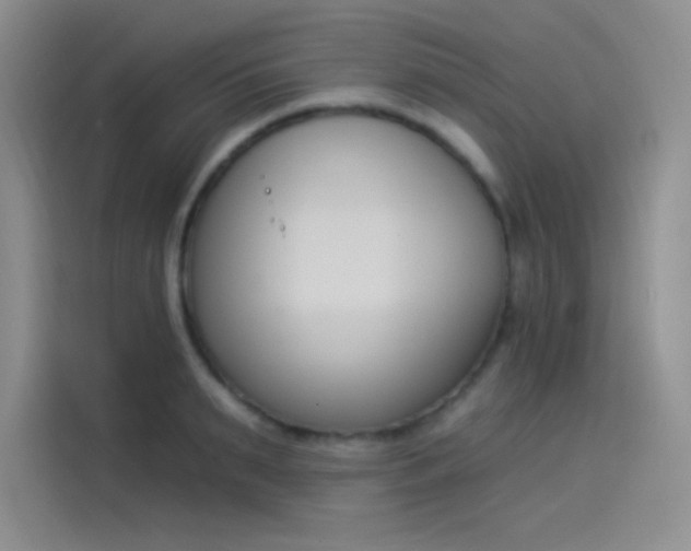 X0000114240895200910161631